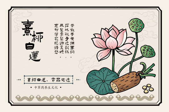 手繪采蓮蓮花蓮藕蓮子包裝標(biāo)簽