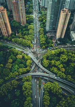 城市道路樞紐與綠色環(huán)境
