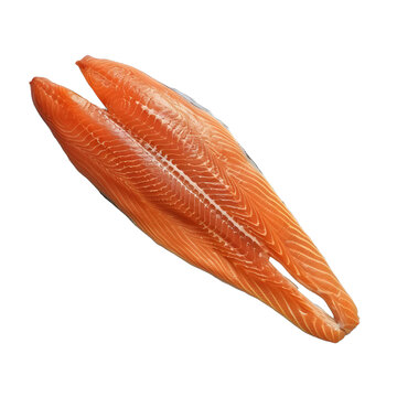 [免摳素材]兩塊新鮮的三文魚魚片