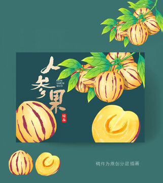 人參果包裝插畫