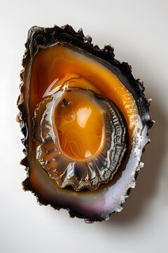 鮑魚殼內(nèi)部特寫