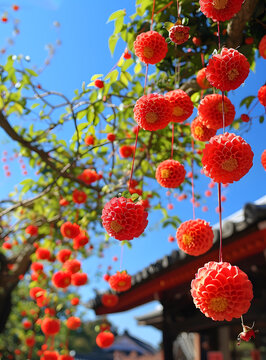 紅燈籠花球懸掛在樹枝上