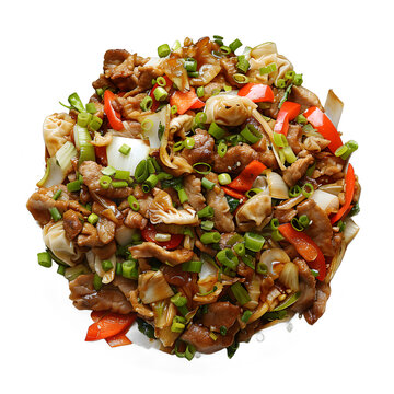 [免摳素材]紅燒肉蓋飯