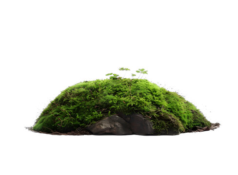 [免摳素材]白色背景上孤立的綠色苔蘚山