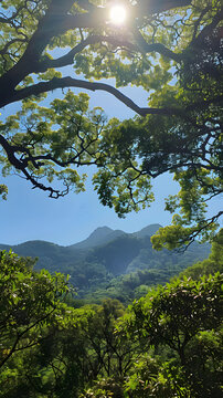 郁郁蔥蔥的山峰與蔚藍的天空