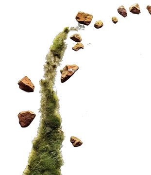 [免摳素材]白色背景上的綠色苔蘚和石頭