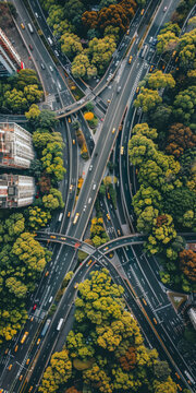 城市道路交通樞紐與城市綠化建設(shè)