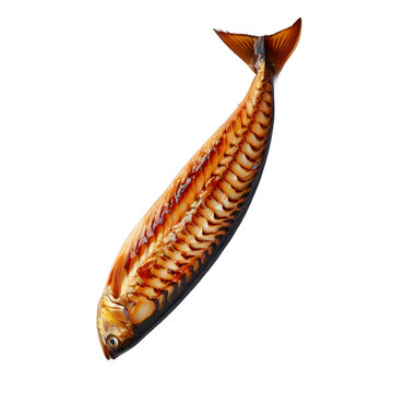[免摳素材]白色背景上的烤魚