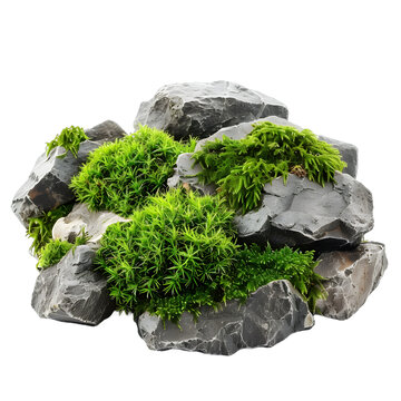 [免摳素材]灰色巖石上的綠色苔蘚在白色背景上隔離