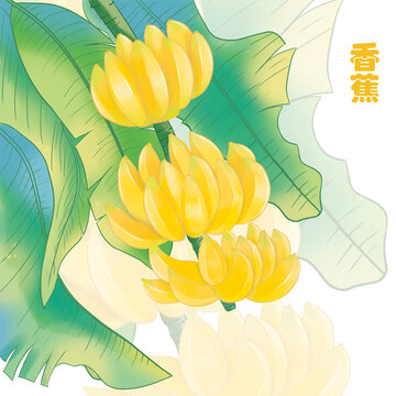 手繪香蕉包裝插畫