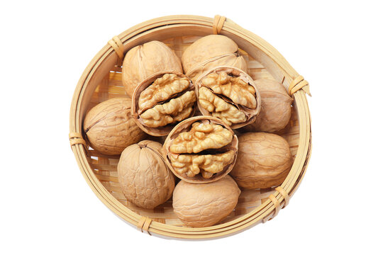 老樹(shù)紙皮核桃