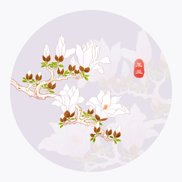 手繪玉蘭