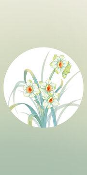 十二月花之一月水仙花