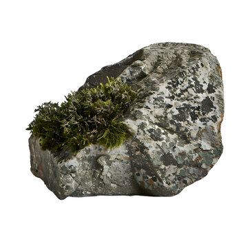 [免摳素材]石頭上的綠色苔蘚