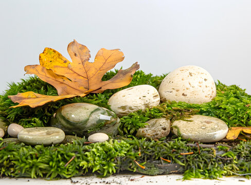 青苔石頭背景圖