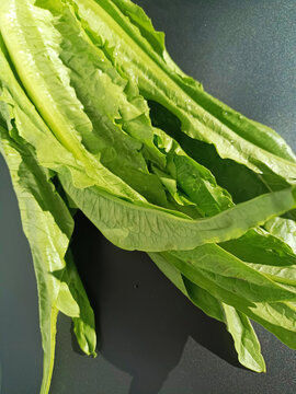 油麥菜