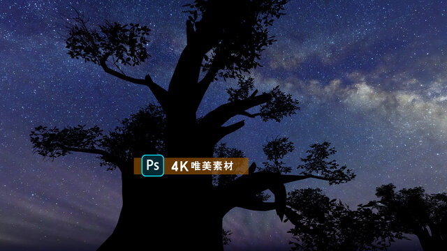 唯美大樹(shù)星空