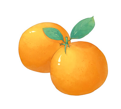 橙子