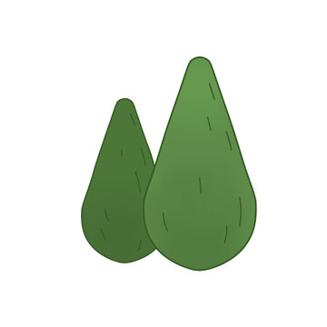 灌木叢