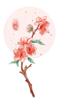 桃花