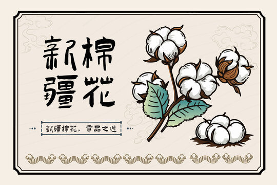 手繪新疆棉花包裝插畫