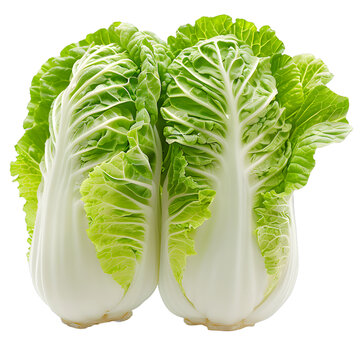 [免摳素材]兩個(gè)新鮮的白菜幫子