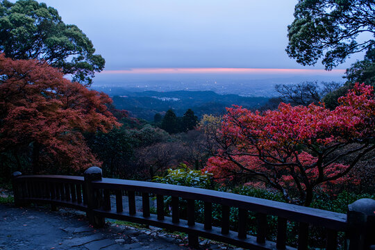 遠(yuǎn)眺城市天際線的秋景
