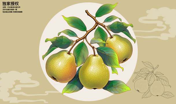 香梨插畫