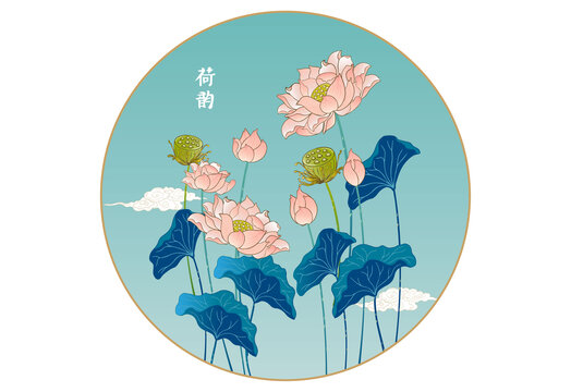 荷花插畫