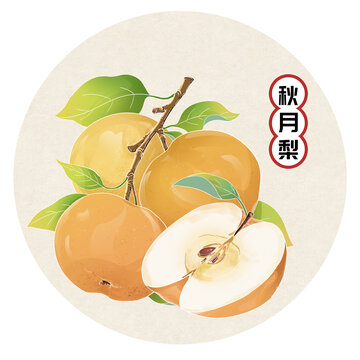 水果插畫秋月梨