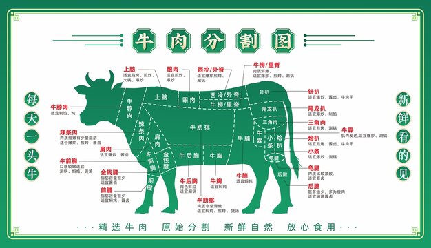 牛肉分割圖