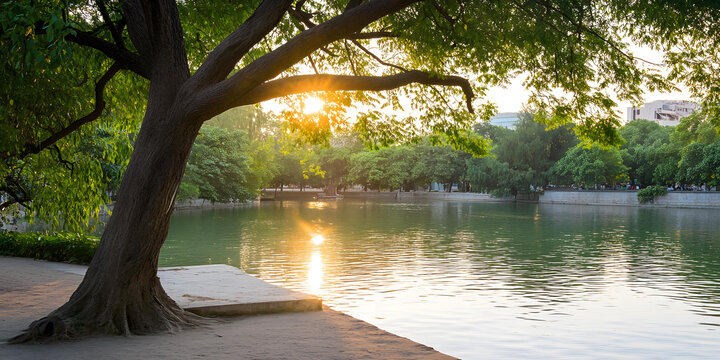 夕陽余暉下的湖邊景色