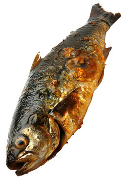[免摳素材]烤魚