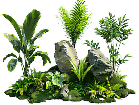 熱帶綠植島嶼