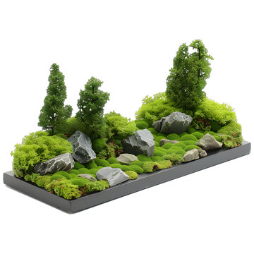 [免摳素材]迷你綠苔花園裝飾，帶小樹和石頭，黑色框架