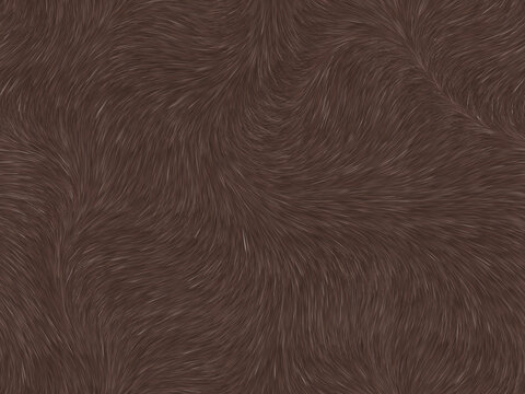 棕紅色毛發(fā)
