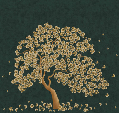 發(fā)財(cái)樹(shù)