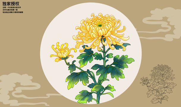 國(guó)風(fēng)手繪菊花