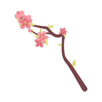 桃花樹枝