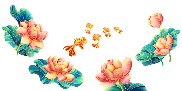 國風荷花錦鯉插畫元素