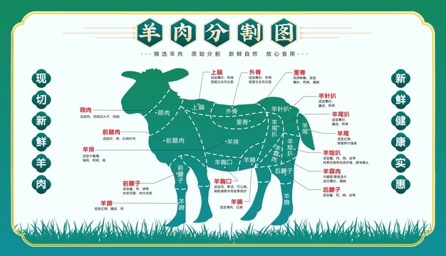 羊肉分割圖