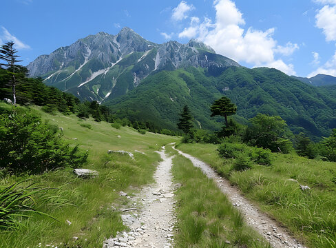 上高地山谷中的山間小路