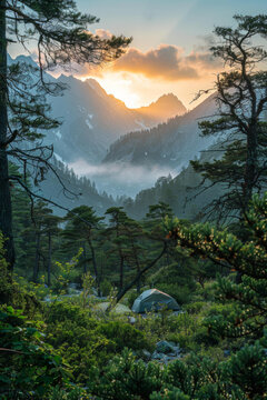 在山野露營