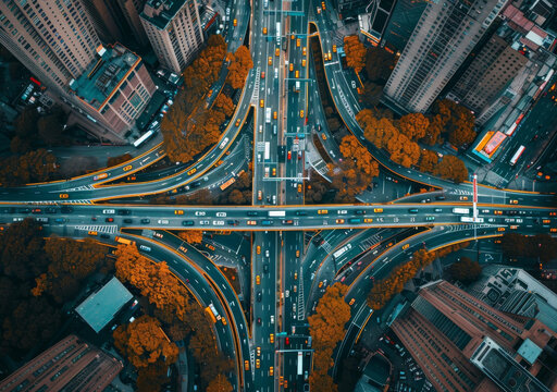 城市道路交通