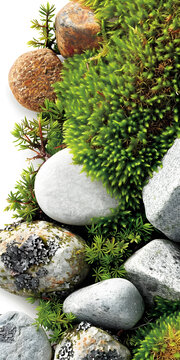 綠苔覆蓋的圓滑石頭自然背景