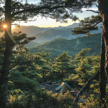 在日出時分在山里露營