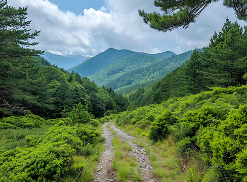 綠樹環(huán)繞的山間小路