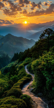 夕陽(yáng)下的美麗風(fēng)景