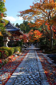 秋天的日本寺廟