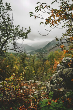 秋日山間迷霧景觀